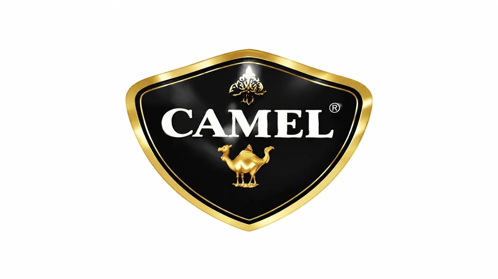 Camel — شوکوفرنگی