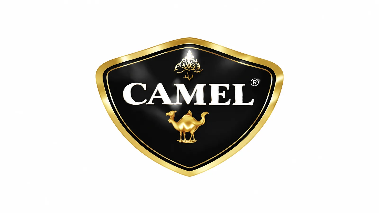 Camel — شوکوفرنگی